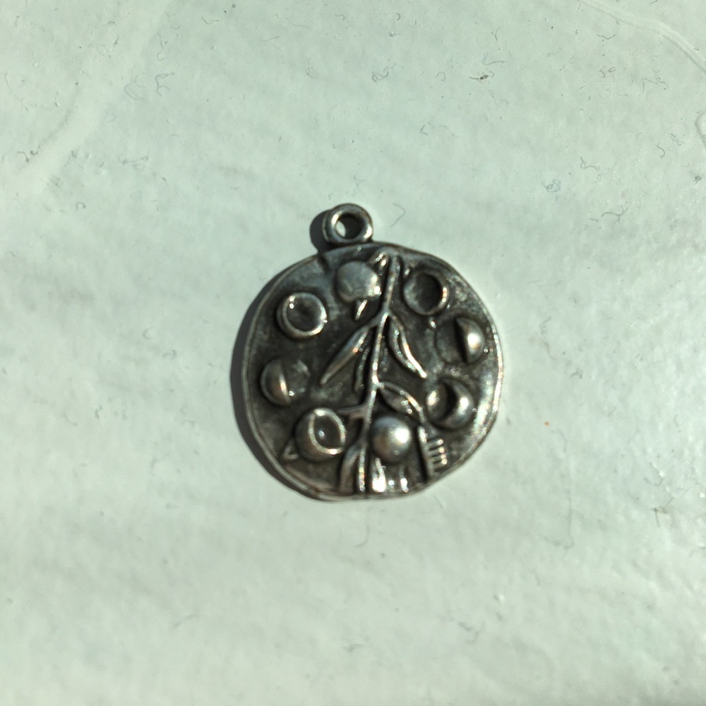 Alex and Ani Willow Charm